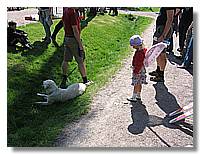 IMG_8858.jpg
